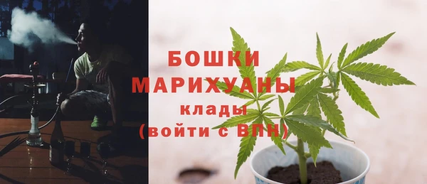 spice Богородск
