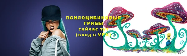 марки nbome Богданович