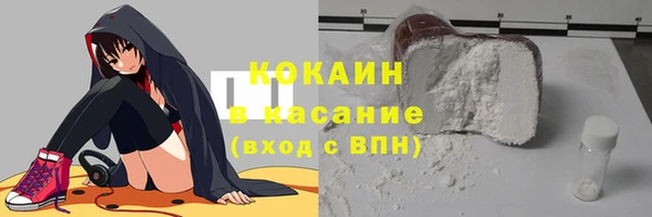 spice Богородск