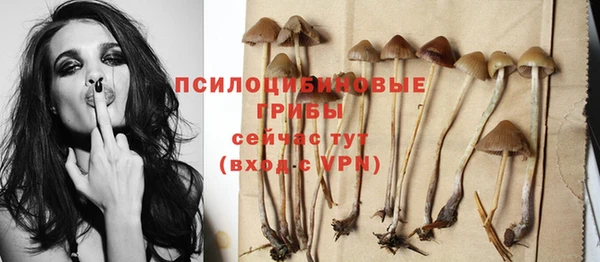 ешки Слюдянка