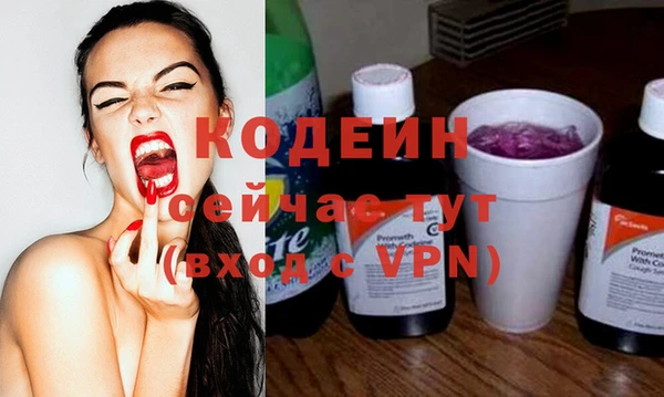 spice Богородск
