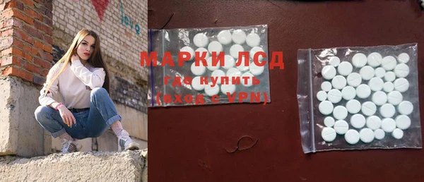 spice Богородск