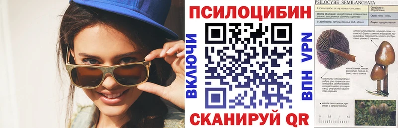 Галлюциногенные грибы Psilocybe Волосово
