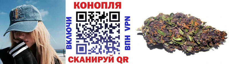 хочу наркоту  Волосово  Конопля сатива 